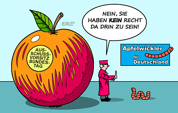 AfD-Urteil