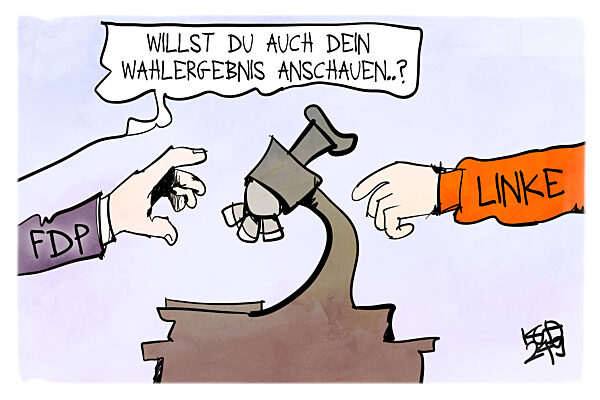 Das grosse Sterben der kleinen Parteien