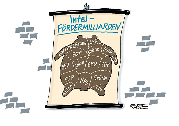 Aufteilung Baerenfell