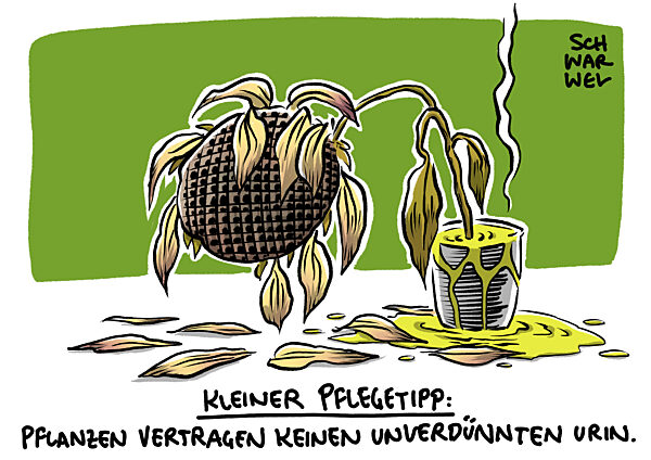 Ruecktritt Gruenen Parteivorstand