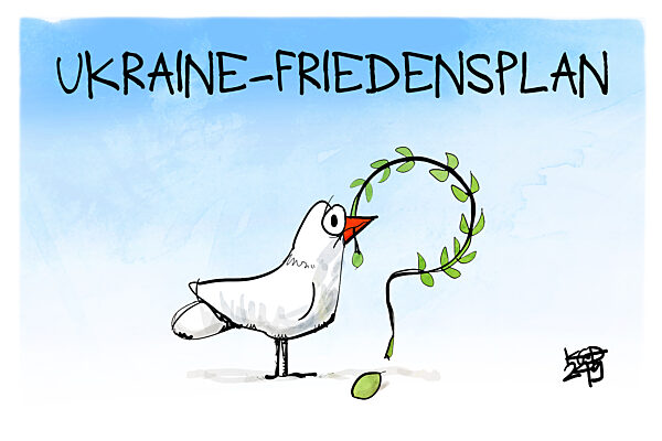 Ukraine Friedensplan