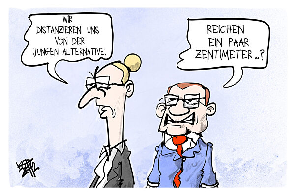 AfD distanziert sich von Jugendorganisation