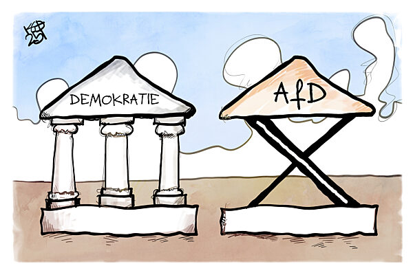 Musk stuetzt die AfD