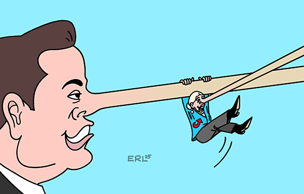 Aufschwung fuer die AfD