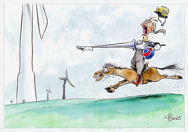 Kandidatin von der traurigen Gestalt