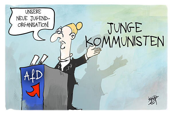 Die AfD will eine neue Jugendorganisation