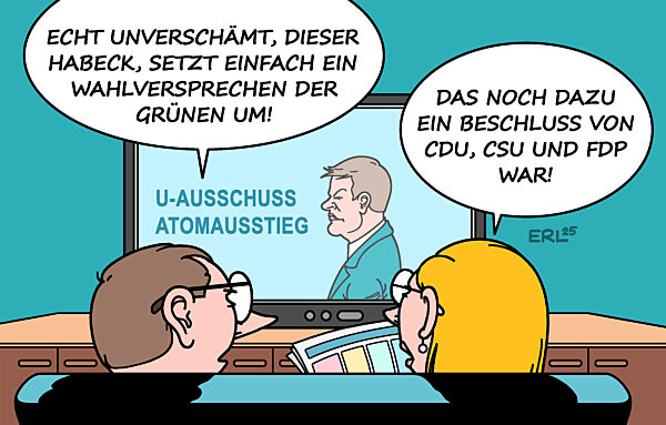 Habeck vor U-Ausschuss