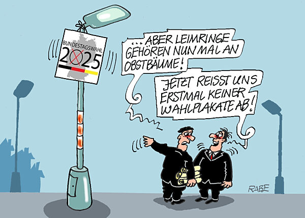 Wahlplakate-Abreisser