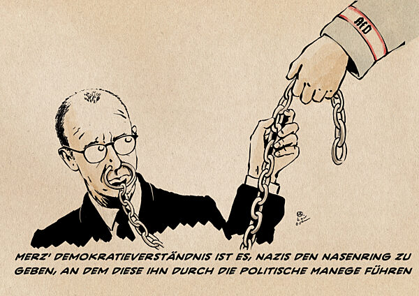 Merz Demokratieverstaendnis