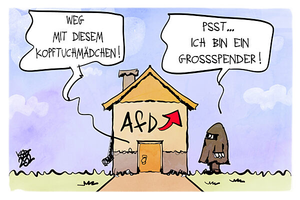 Grossspenden fuer die AfD