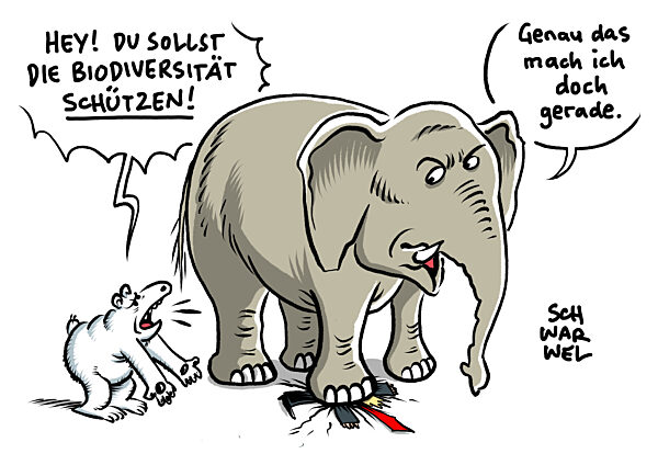 Biodiversitaetskonferenz COP16 ? spaetes aber klares Signal an die Welt