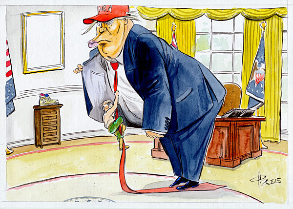 Auf das richtige Pferd gesetzt