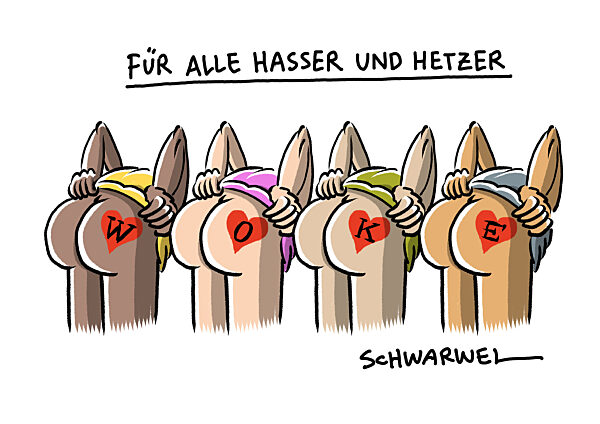 250413-woke-hires-kari-schwarwel