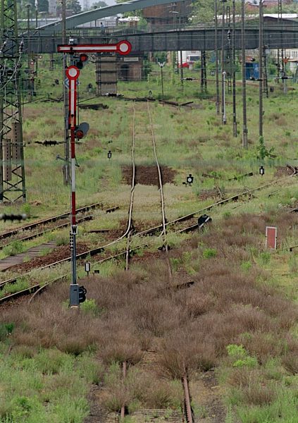 Zugewachsene Gleise - Industriebrache Plagwitz