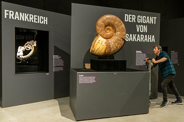 Eröffnung Sonderausstellung „Ammonite Masterpieces“