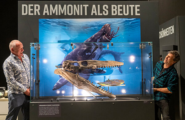 Eröffnung Sonderausstellung „Ammonite Masterpieces“