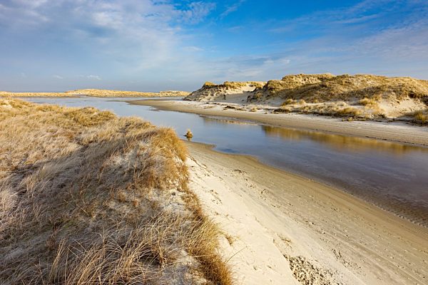 Dune Landscape in the eastern of Norderney Island