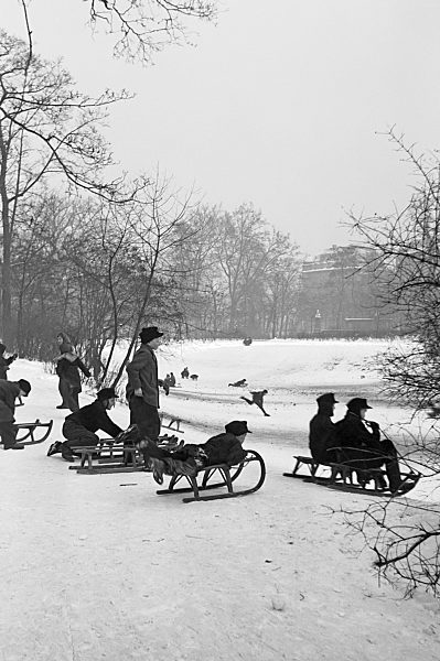 Kinder beim Schlittenfahren, Winter, 1955, am Schwanenteich, Leipzig...