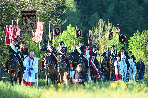 Coronavirus - Weingarten: Blutritt in stark reduzierter Form