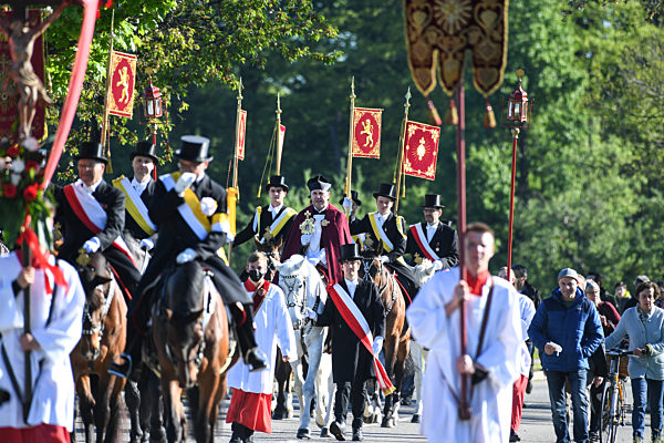 Coronavirus - Weingarten: Blutritt in stark reduzierter Form