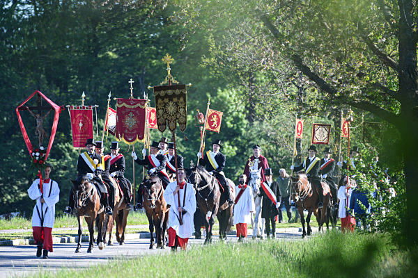 Coronavirus - Weingarten: Blutritt in stark reduzierter Form