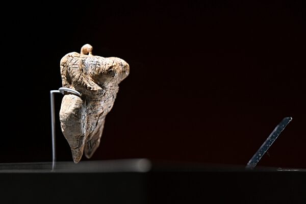 Dauerausstellung urzeitliches Museum