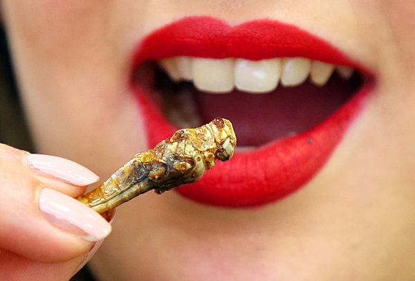 Internationale Grüne Woche 2019 - Eröffnung