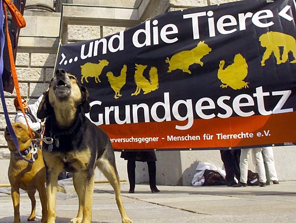 Demonstration gegen Tierversuche