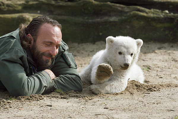 Mit erhobener Tatze grüßt Eisbär-Baby Knut am Freitag (23.03...