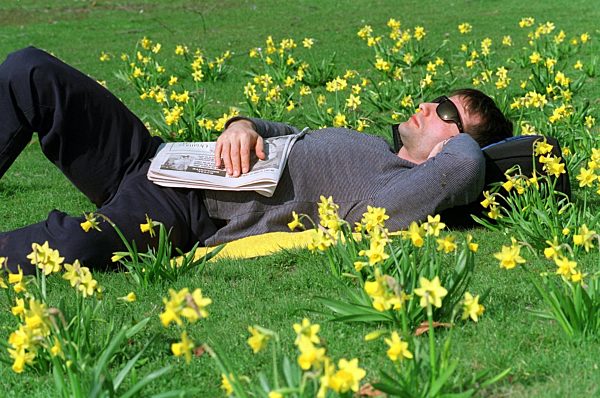 Frühlingssonne lädt zum Träumen auf  Blumenwiese ein