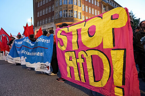 Demonstration gegen AfD in Hamburg