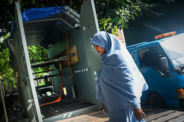 Sri Lankan Asian Elephant Sak Surin