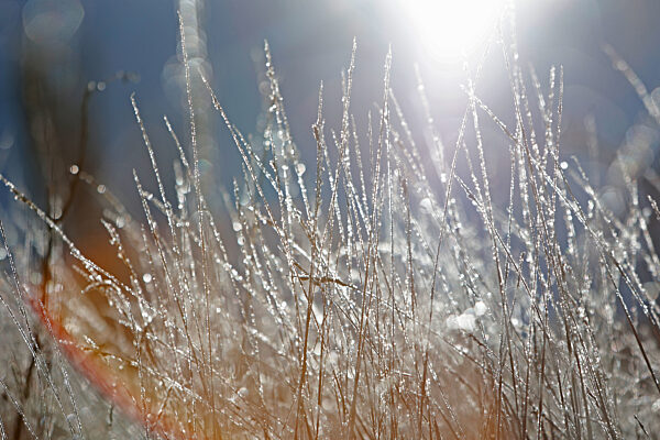 Winterwetter im Harz