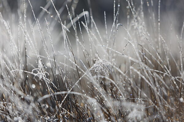Winterwetter im Harz