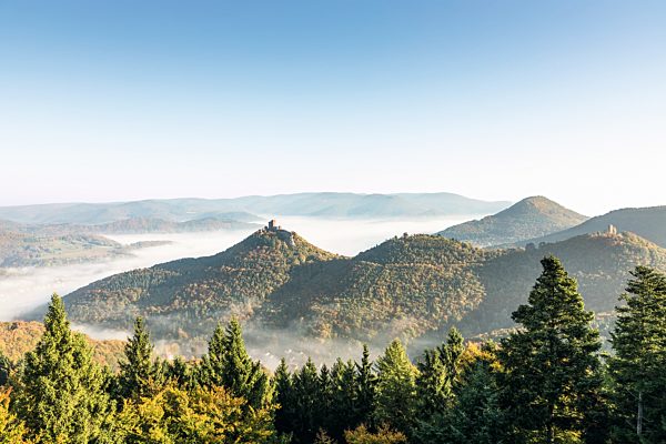 Pfalz: Biosphaerenreservat Pfaelzerwald