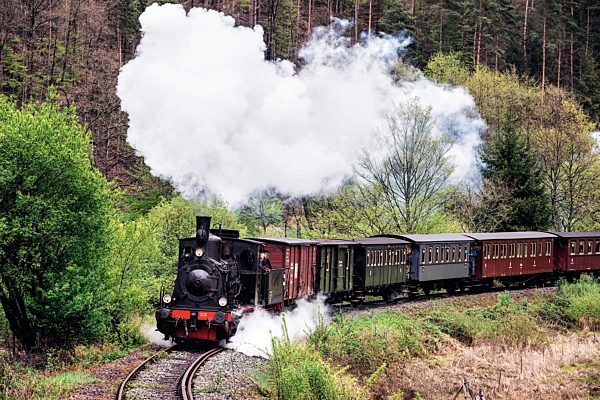 Pfalz: Elmstein, Kuckucksbaehnel