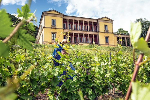 Pfalz: Edenkoben, Villa Ludwigshoehe