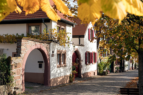 Pfalz: Theresienstrasse in Rhodt