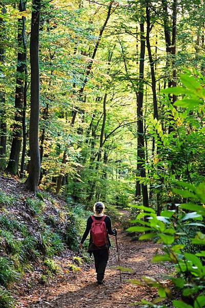 Pfalz: Paelzer Keschdeweg