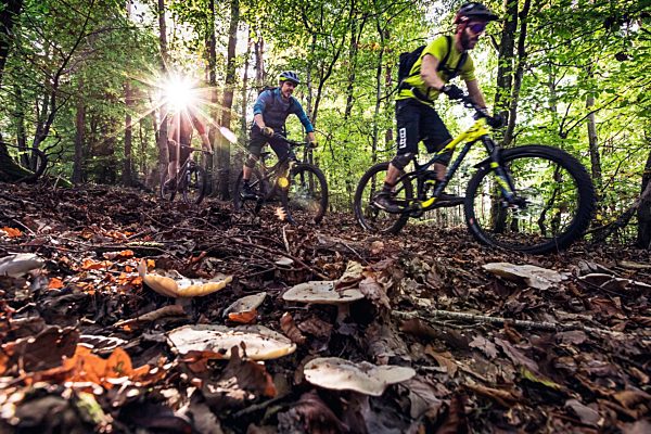 Pfalz: Annweiler, Mountainbiker