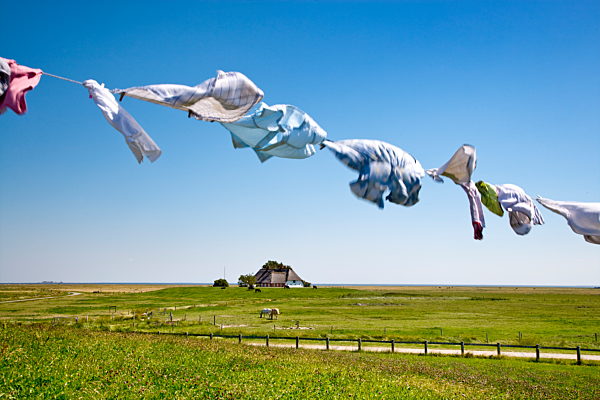 Sylt/Amrum/Föhr: Hallig Langeneß, Wäscheleine