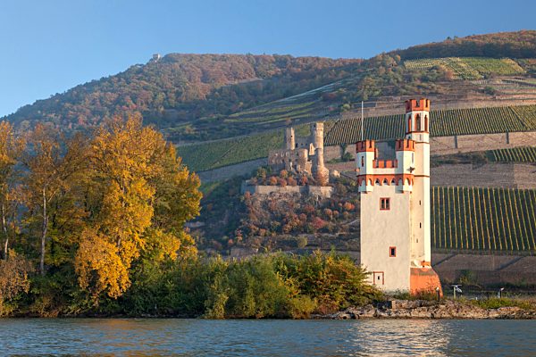 Rhein: Bingen am Rhein, Maeuseturm und Ruine Ehrenfels