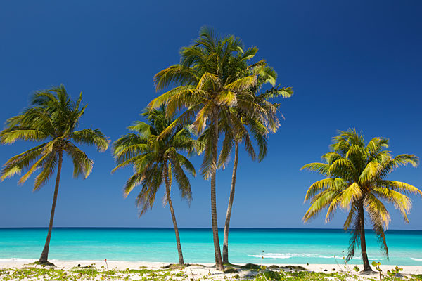 Kuba: Strand in Varadero
