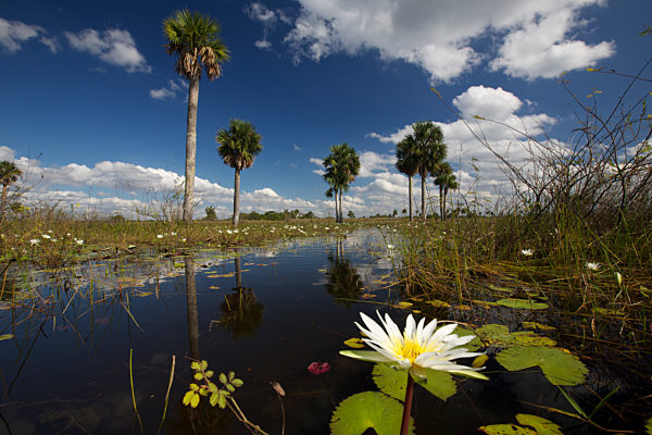 Kuba: Zapata Nationalpark