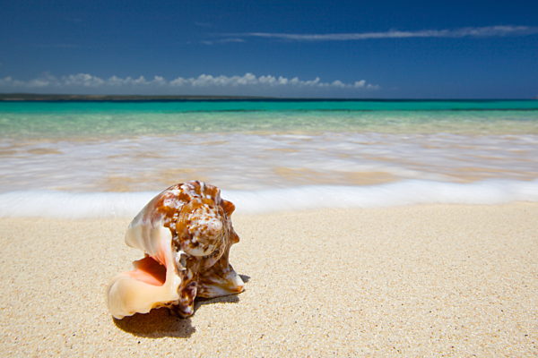 Kuba: Insel Cayo Saetia