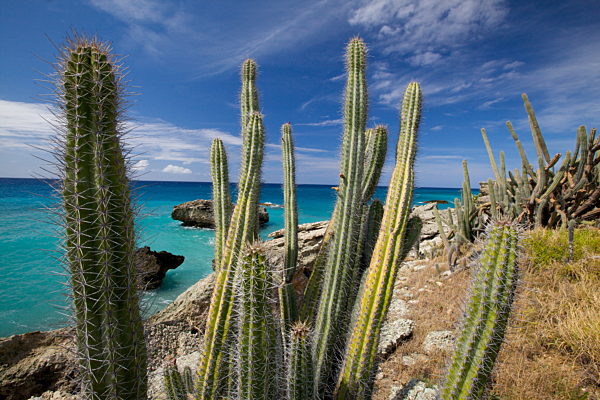 Kuba: Kueste bei Guantanamo