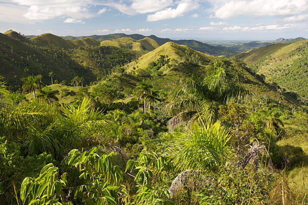 Kuba: Sierra de Rosario
