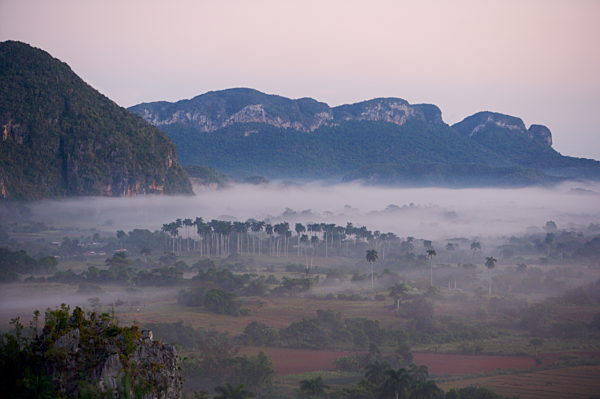 Kuba: Tabakanbau im Valle de Vinales