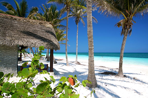 Kuba: Insel Cayo Levsia