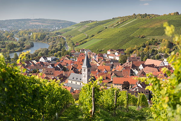 View of Randersacker